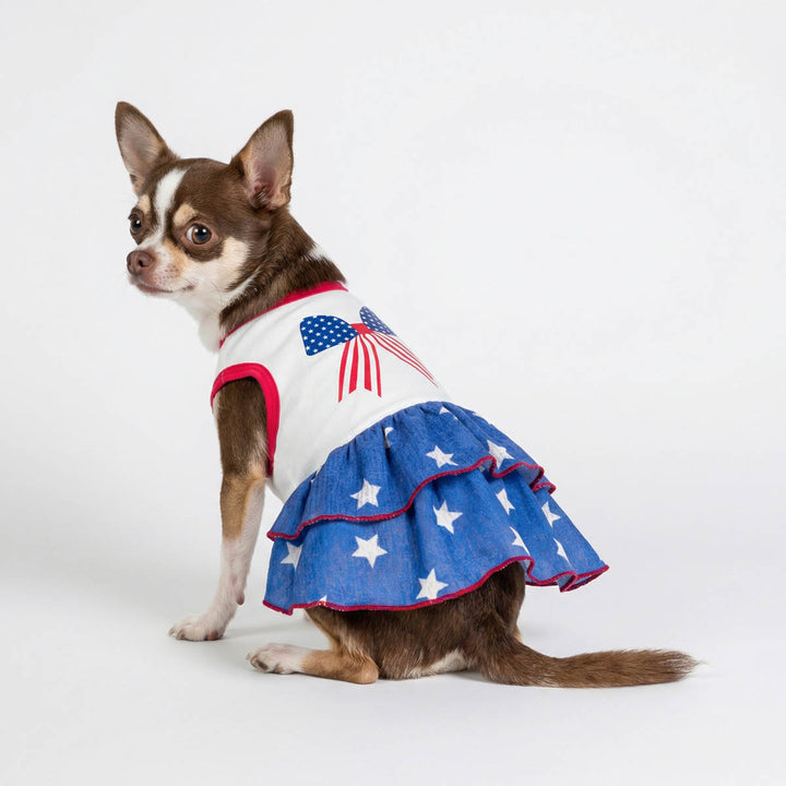 Chihuahua sitting on the ground with patriotic dog dress with bowknot and star prints