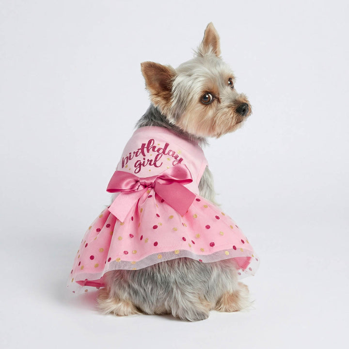 Back view of a Yorkie wearing a pink dog tulle dress with 'Birthday Girl' lettering and bow design