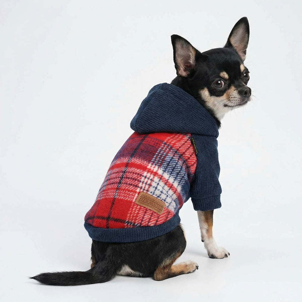 Chihuahua wearing a classic plaid dog hoodie