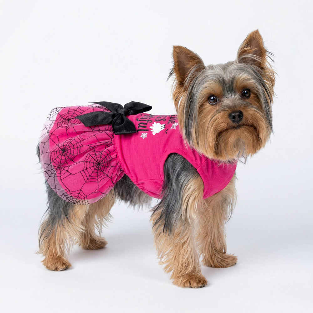 Yorkie in a pink Halloween dog dress with black bow and spiderweb design