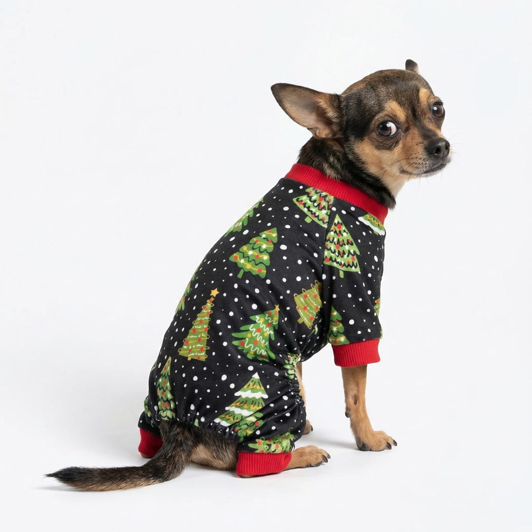 Chihuahua sitting on the white background with a dog pjs with snow and Christmas tree prints