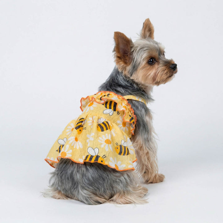 Yorkie in a ruffle dog dress with funny bee and floral print