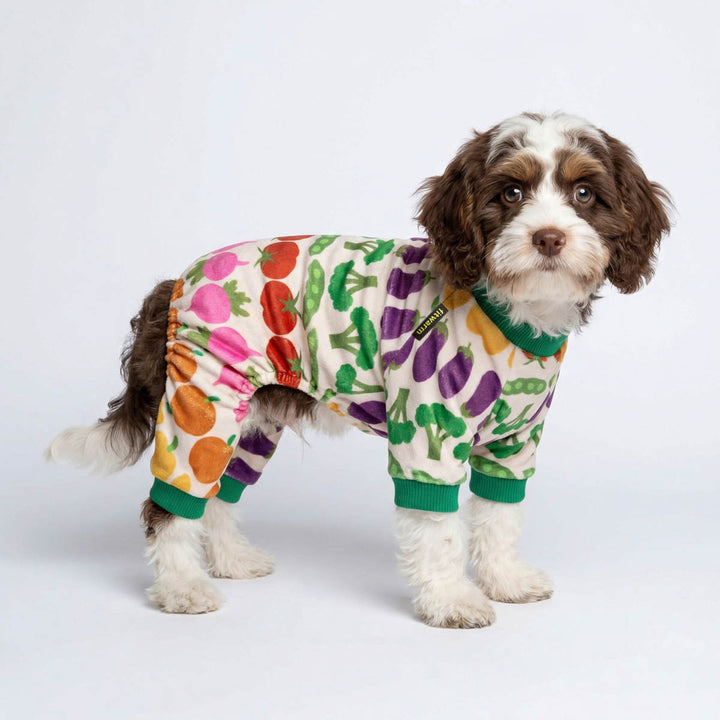 Dog wearing cozy dog onesie with colorful veggie prints on a soft white background