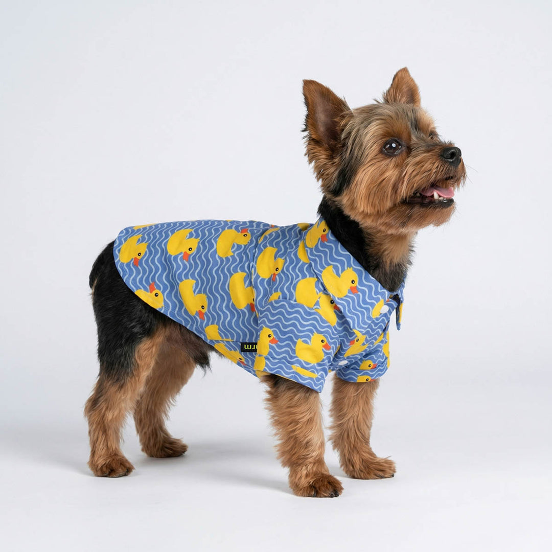 Blue button-up dog shirt featuring a pattern of yellow ducks and waves.