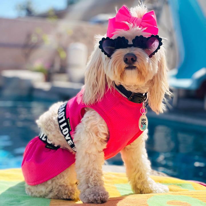 Maltipoo in a Pink Athleisure Dog Dress - Fitwarm Dog Clothes
