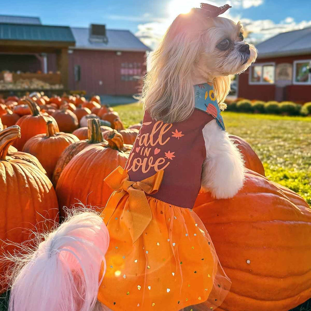 Fall in Love Thanksgiving Dog Dress | Sparkly Tutu & Bow Orange / Large Fall in Love Thanksgiving Dog Dress | Sparkly Tutu & Bow Orange / Large