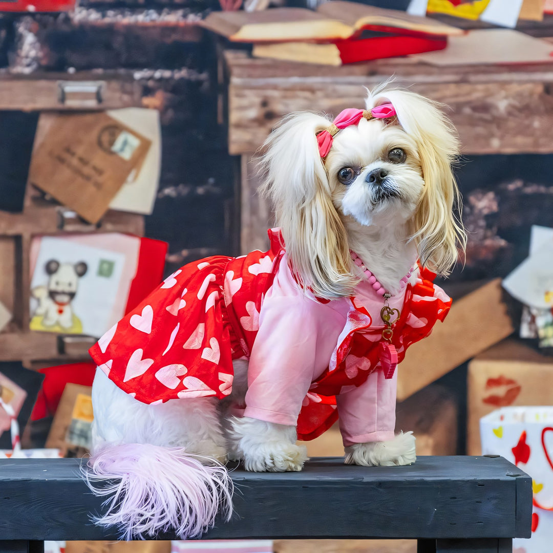 Shih Tzu in a Cute Valentine Dog Dress with Heart Prints - Fitwarm Dog Clothes 