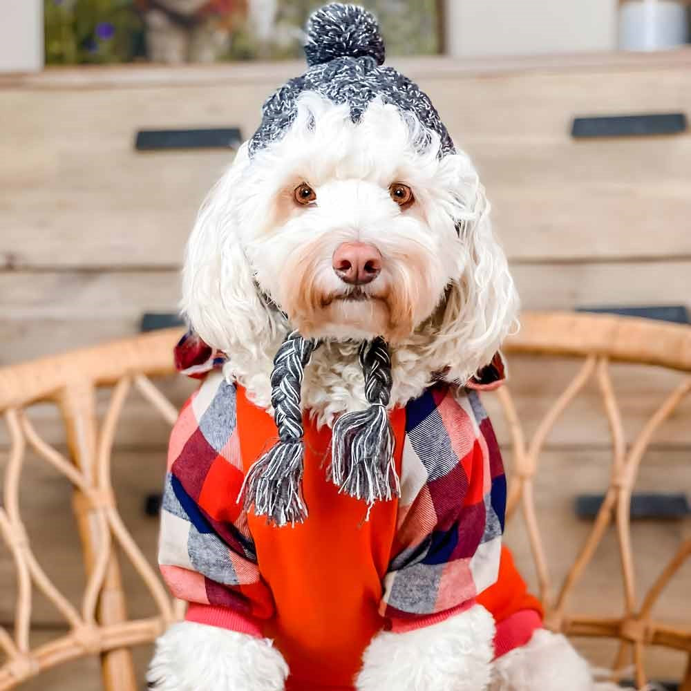 Cavoodle in a Stylish Plaid Dog Hoodie - Fitwarm Dog Clothes