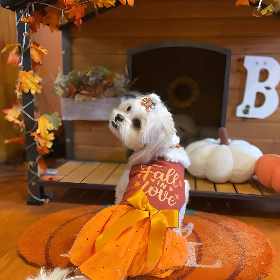 Fall in Love Thanksgiving Dog Dress | Sparkly Tutu & Bow Fitwarm Fall in Love Thanksgiving Dog Dress | Sparkly Tutu & Bow Fitwarm