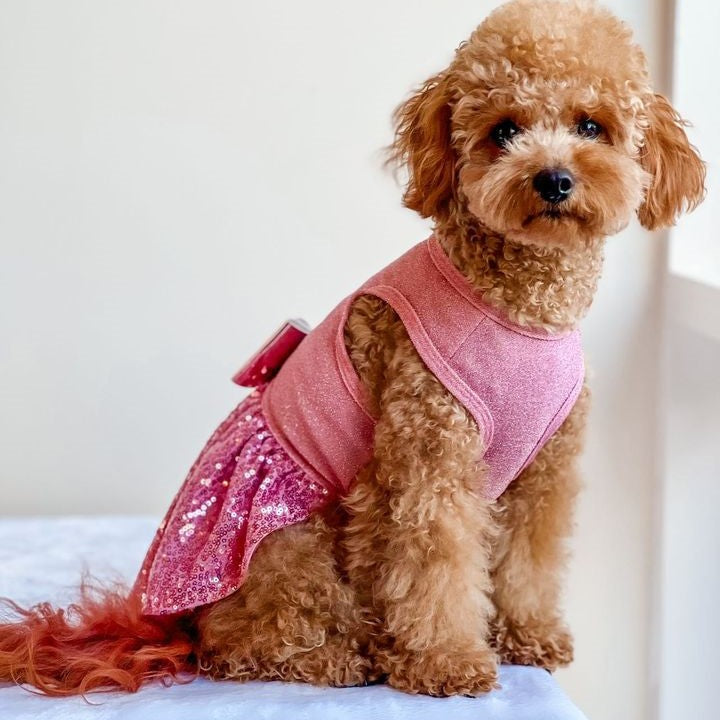 Pink sparkly sequin dog dress with bow, perfect for parties and celebrations. Fitwarm dog apparel.