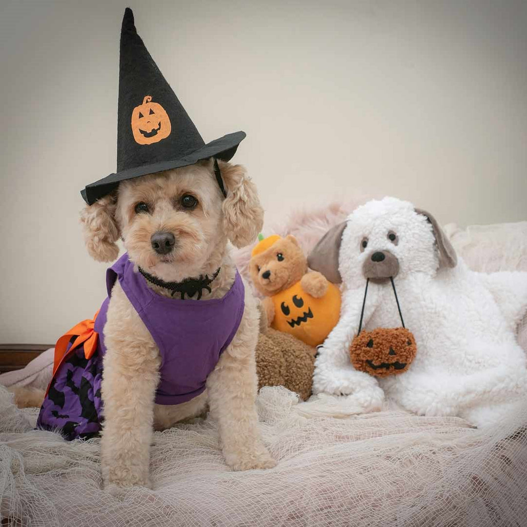 Good Witch Halloween Dog Dress | Purple Costume Medium Good Witch Halloween Dog Dress | Purple Costume Medium