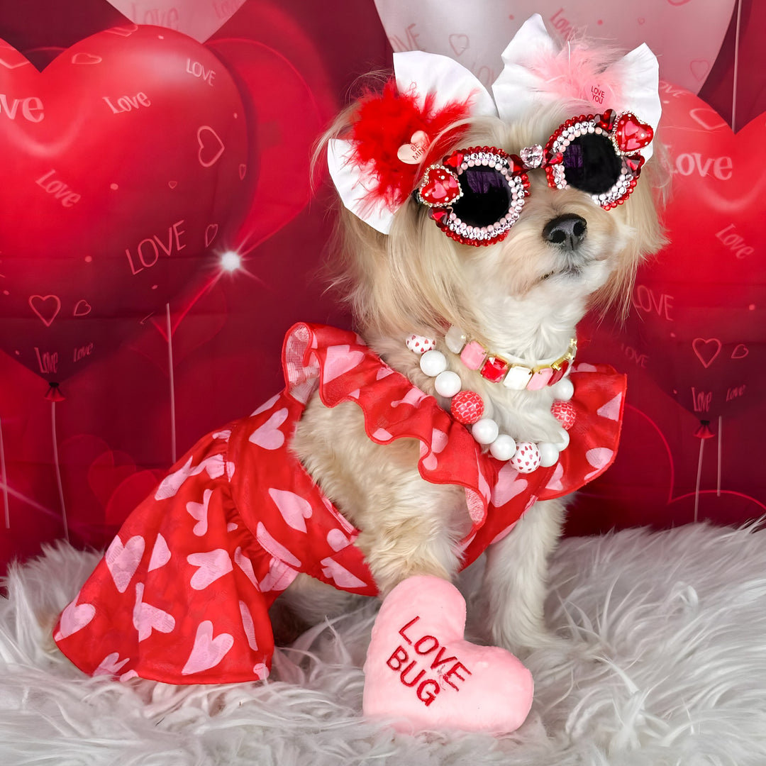 Morkie in a Valentine Dog Dress - Fitwarm Dog Clothes