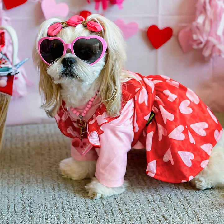 Valentine Themed Dog Dress - Fitwarm Dog Clothes