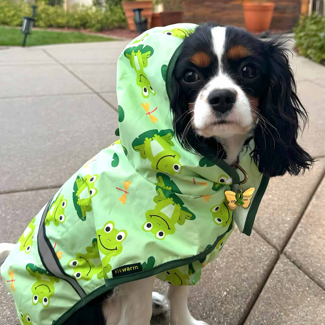 Dog Raincoat with Cute Frog Prints - Fitwarm Dog Clothes