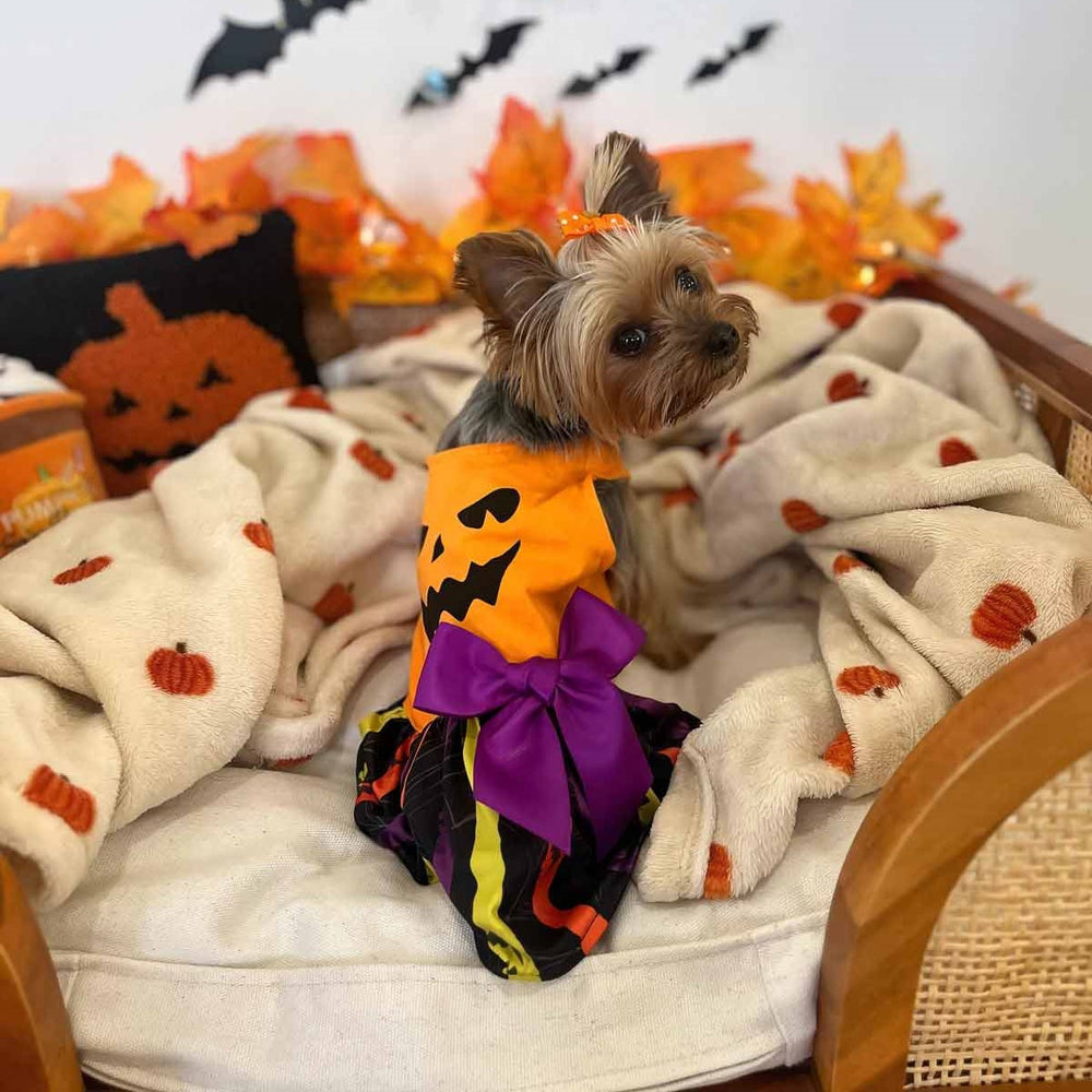 Orange Jack-o'-lantern Dog Dress Halloween Costume – Fitwarm