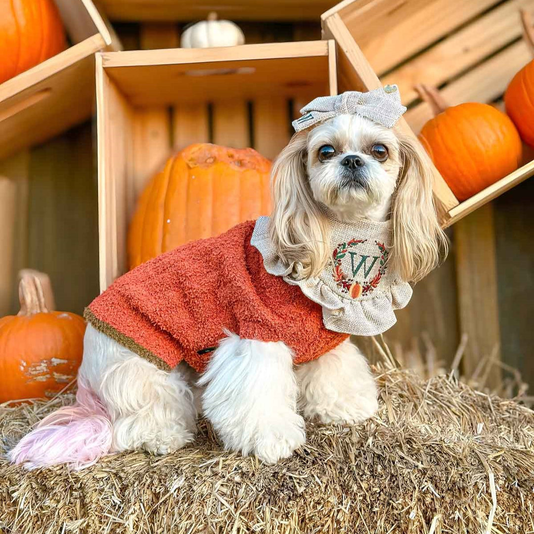 Pumpkin Thanksgiving Dog Sweater Thanksgiving Dog Sweaters, Warm
