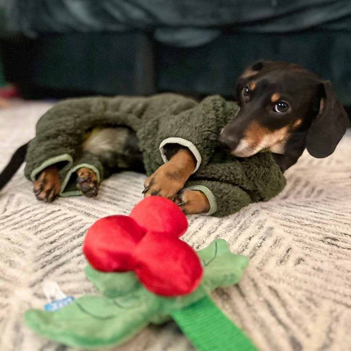 Dachshund in a Cozy Fuzzy Velvet Dog Pajamas - Fitwarm Dog Clothes