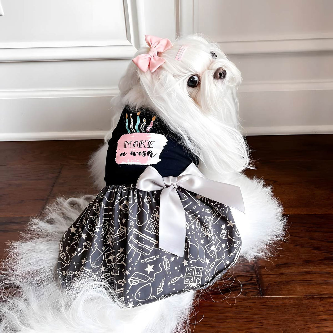 Maltese in a Make a Wish Dog Birthday Dress - Fitwarm Dog Clothes