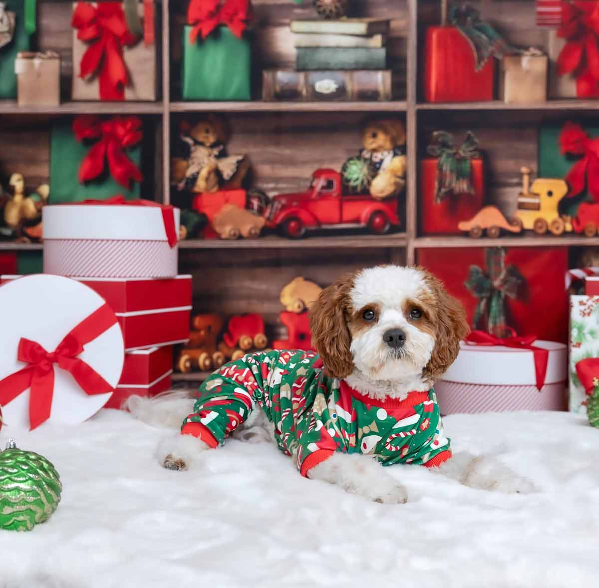 Pyjama De Noël Pour Chihuahua - Sweat à Motif Bonhomme De Neige, Cadeau Amusant Pour Petits Chiens