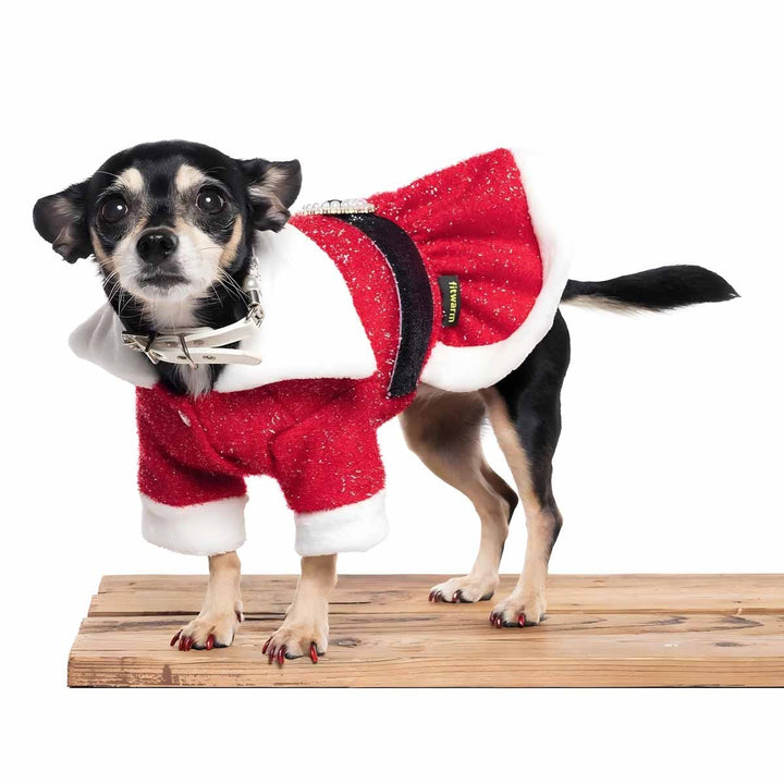 Dog in a Shining Belt Dress - Fitwarm Dog Clothes