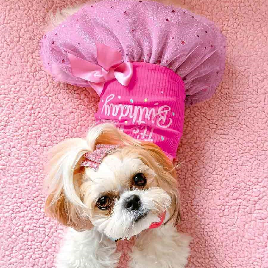 dog in pink dress Sweet Heart Dress: Cotton Eyelet Puppy Outfit Back Length 16 Doggy Pink Tutu Dress