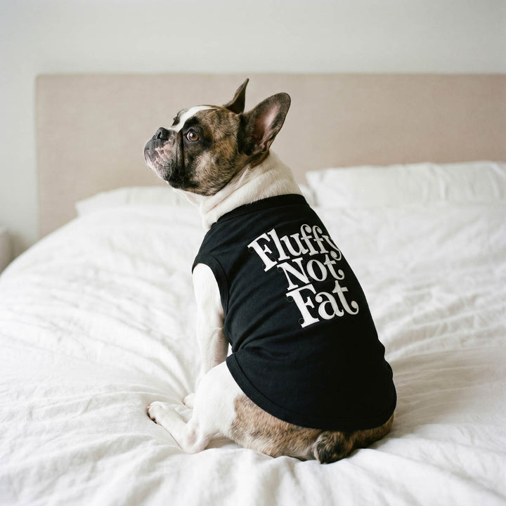 Small dog sitting on the bed with a dog tank top with funny 'Fluffy not fat' lettering