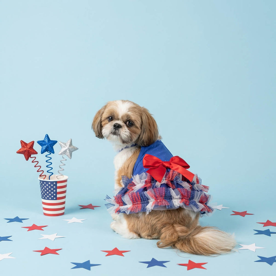 Dog in a red, white, and blue dress for dogs with a cup and stars on a light blue background