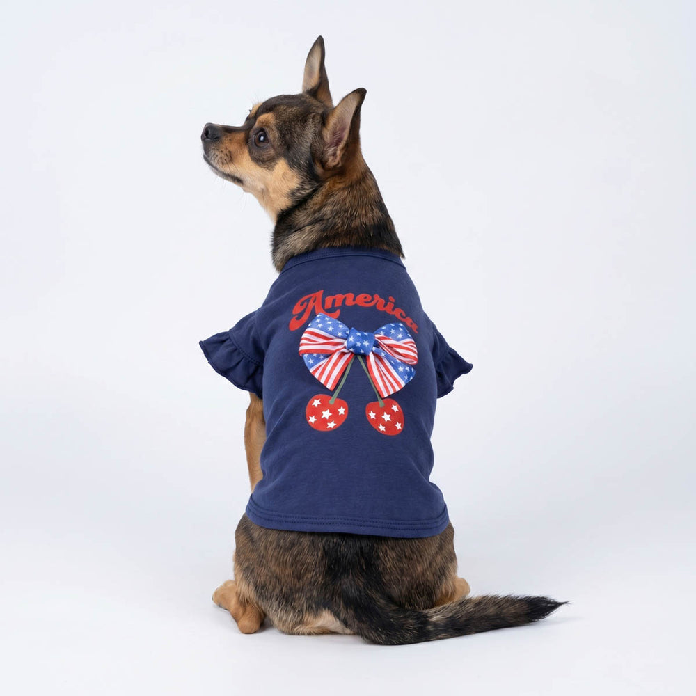 Back view of Chihuahua wearing a 4th of July ruffle dog tshirt