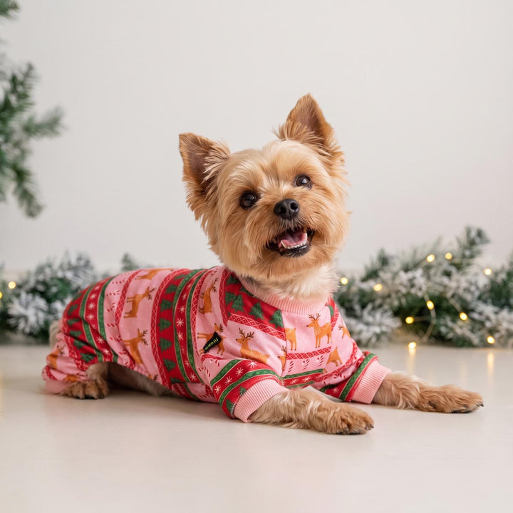 Yorkie lying on a light floor wearing a pink Christmas dog pjs with red and green holiday patterns and reindeer prints, with blurred evergreen branches and warm lights in the background