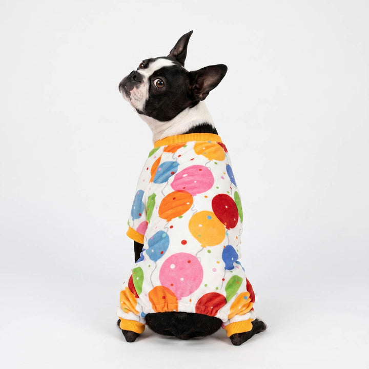 Back view of Boston Terrier dog wearing a white pajamas for dogs covered in a colorful balloon pattern, photographed against a seamless white studio background