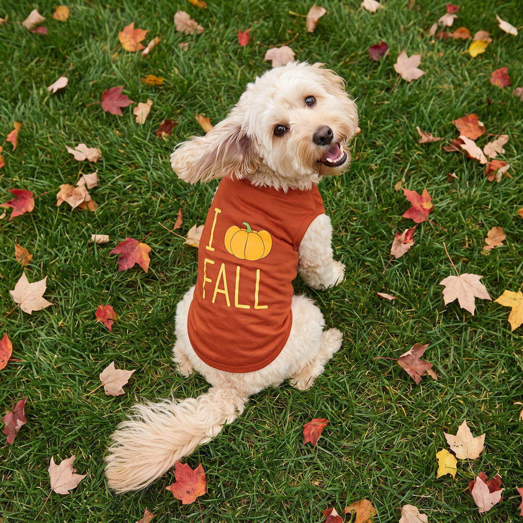 Back view of small cream-colored dog sitting on green grass scattered with autumn leaves, wearing an orange-brown dog t-shirt with a yellow pumpkin graphic and the text 'I Love Fall'