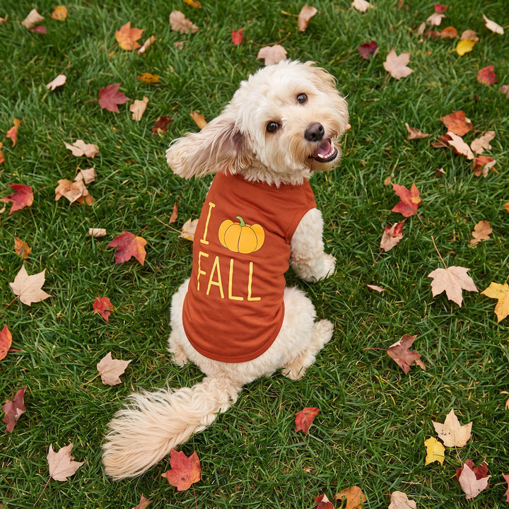 Back view of small cream-colored dog sitting on green grass scattered with autumn leaves, wearing an orange-brown dog t-shirt with a yellow pumpkin graphic and the text 'I Love Fall'