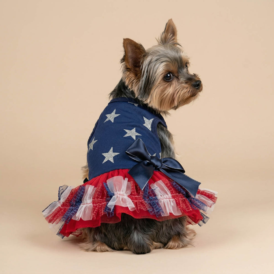 Yorkie looks back with a dog patriotic dress in a beige background