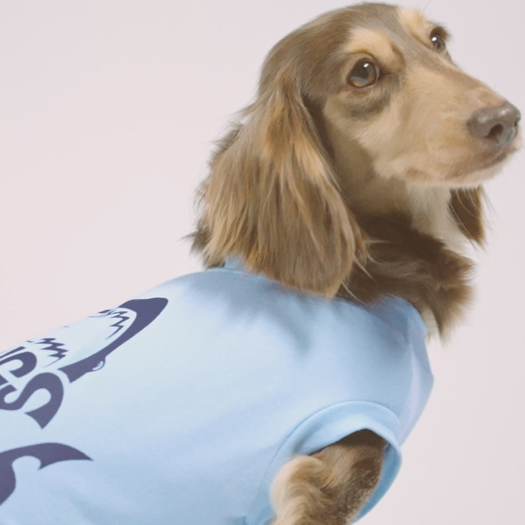Shark Themed Dog Recovery Shirts for Dachshunds - Fitwarm Dog Clothes