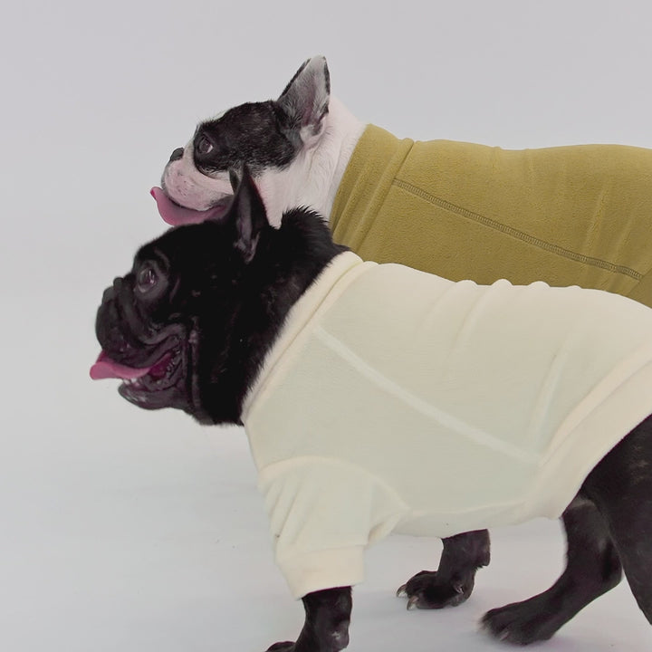 French bulldog wearing cozy turtleneck dog sweater in olive and white