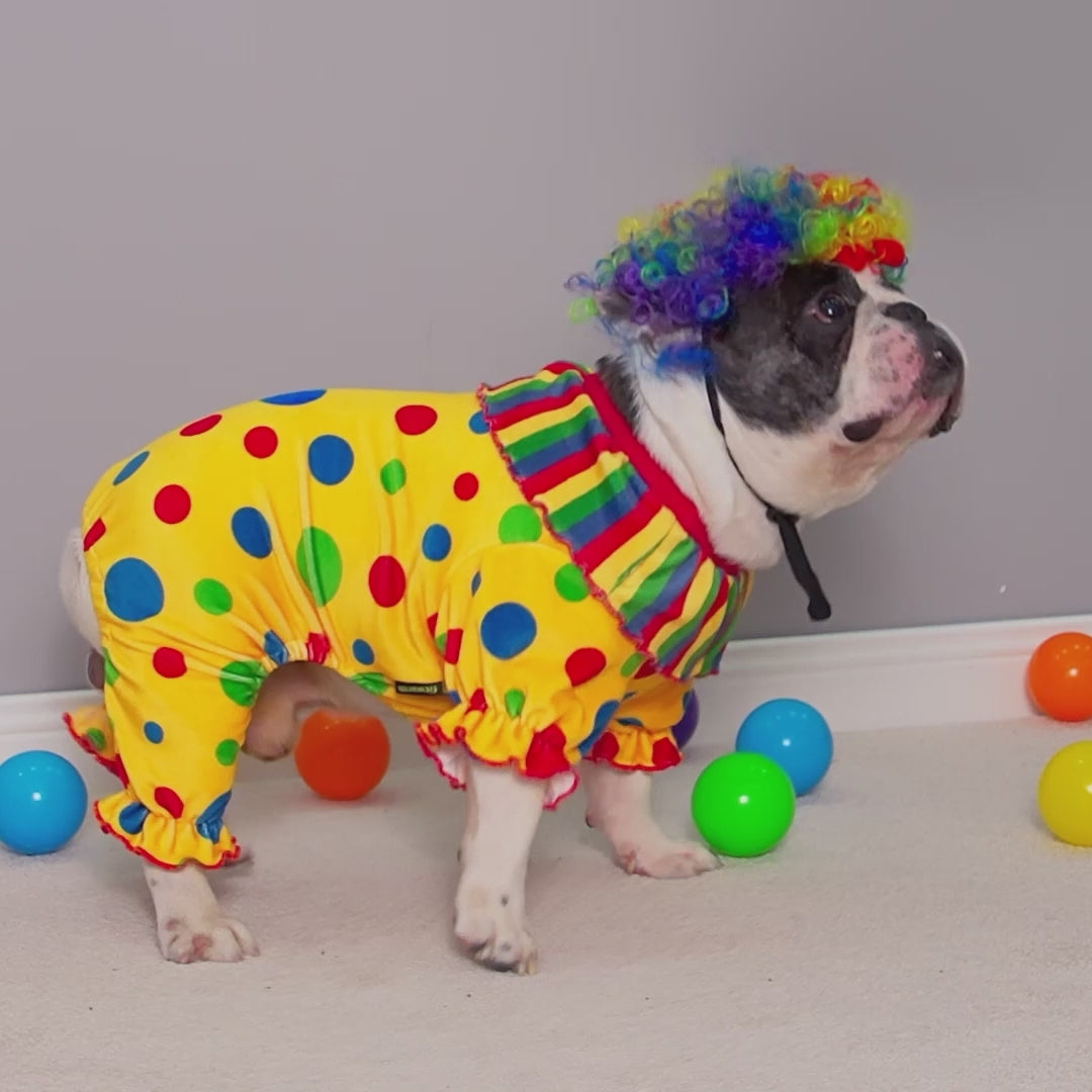 French bulldog wearing a funny dots halloween dog costume