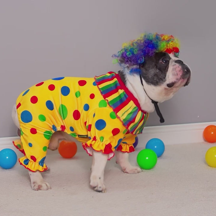 French bulldog wearing a funny dots halloween dog costume