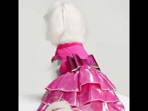 Maltese in Dog Birthday Dog Dresses - Fitwarm Dog Clothes