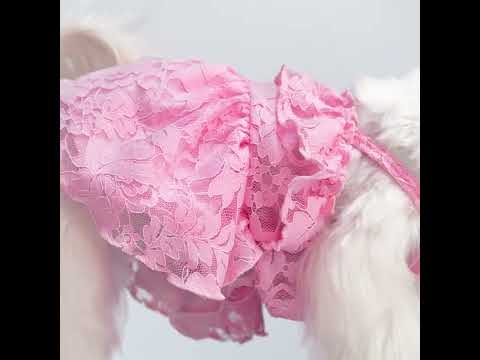 Maltese in a Pink Dog Dress with Lace Details - Fitwarm Dog Clothes
