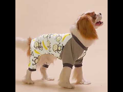Cavalier King Charles Spaniel in Funny Animal Themed Dog Pajamas - Fitwarm Dog Clothes
