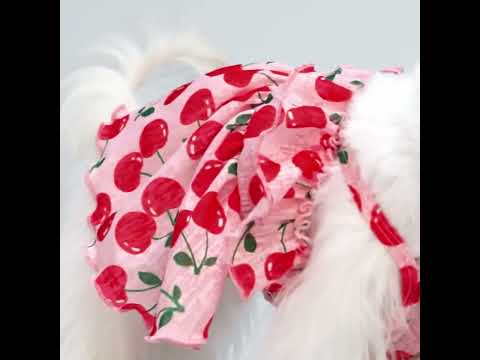 Maltese in a Hawaiian Dog Dress with Cherry Prints - Fitwarm Dog Clothes