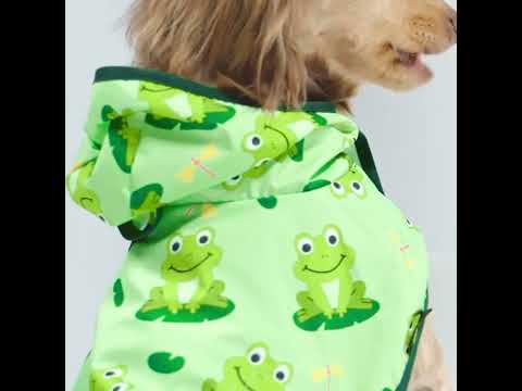 Dachshunds in Cute Dog Raincoats - Fitwarm Dog Clothes