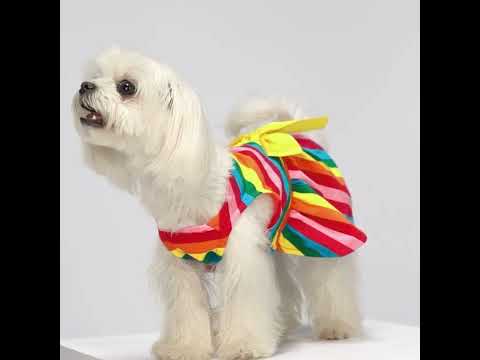 Maltese in a Colorful Rainbow Striped Dog Dress - Fitwarm Dog Clothes