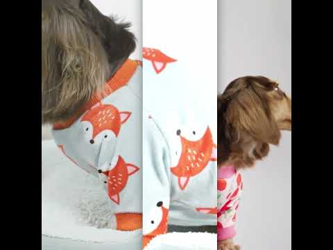 Dachshunds in Funny Dog Pajamas - Fitwarm Dog Clothes