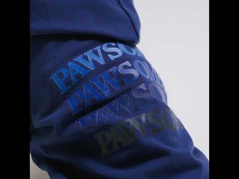 Cavalier King Charles Spaniel in a Pawsome Dog Hoodie - Fitwarm Dog Clothes