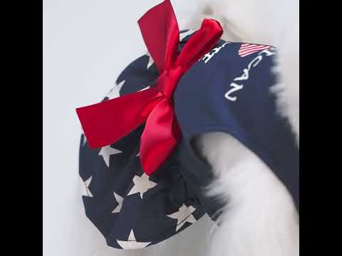 Maltese in a Patriotic Dog Dress with American Cutie Lettering - Fitwarm Dog Clothes
