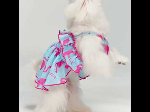 Maltese in a Flamingos Dog Dress - Fitwarm Dog Dress