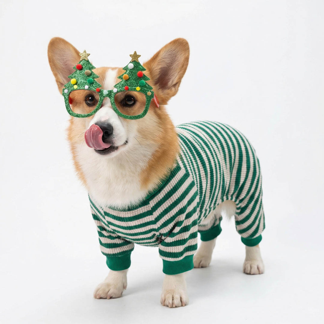 Corgi in a cozy pajamas for dogs paired with a funny Christmas tree glasses