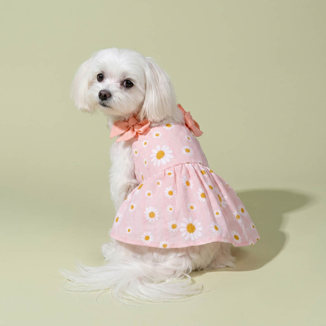 Daisy Bow Dog Dress | Cute Floral Outfit for Small Pets