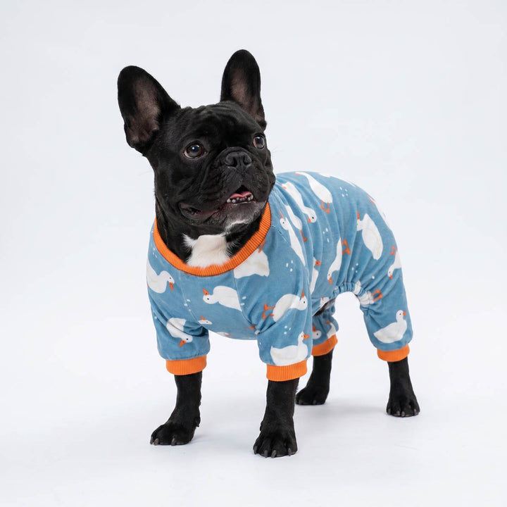 Dog wearing a blue dog pajama with white duck patterns and orange trim on a white background